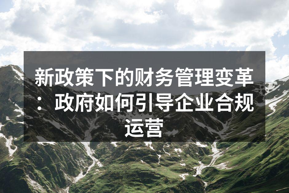 新政策下的财务管理变革：政府如何引导企业