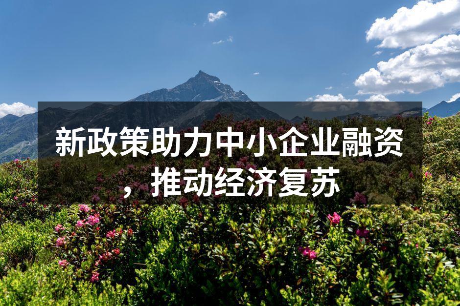 新政策助力中小企业融资，推动经济复苏