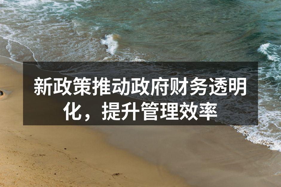 新政策推动政府财务透明化，提升管理效率